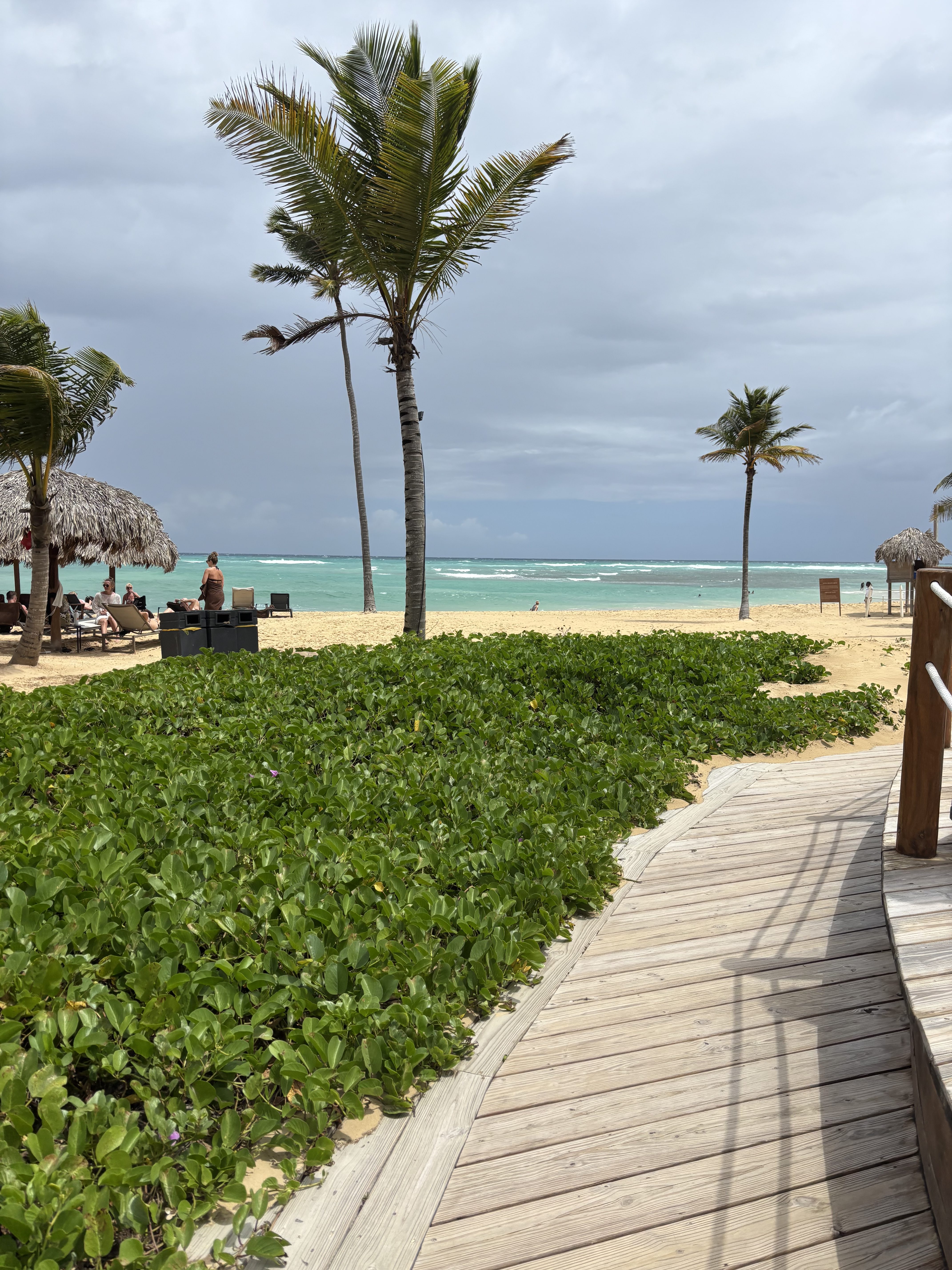 Exploring Destination Wedding Possibilities in the Dominican Republic